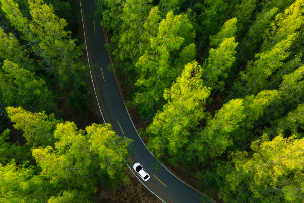 ISO 14001:2015 per il Sistema di Gestione Ambientale