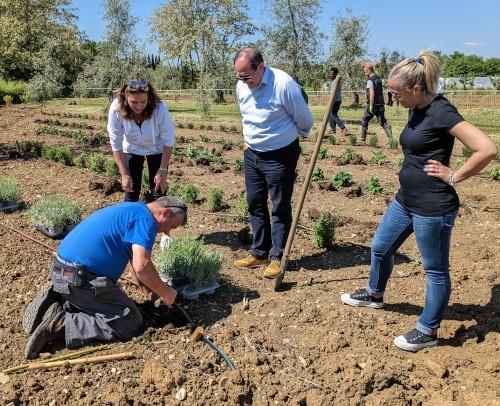 orto solidale piantumazione